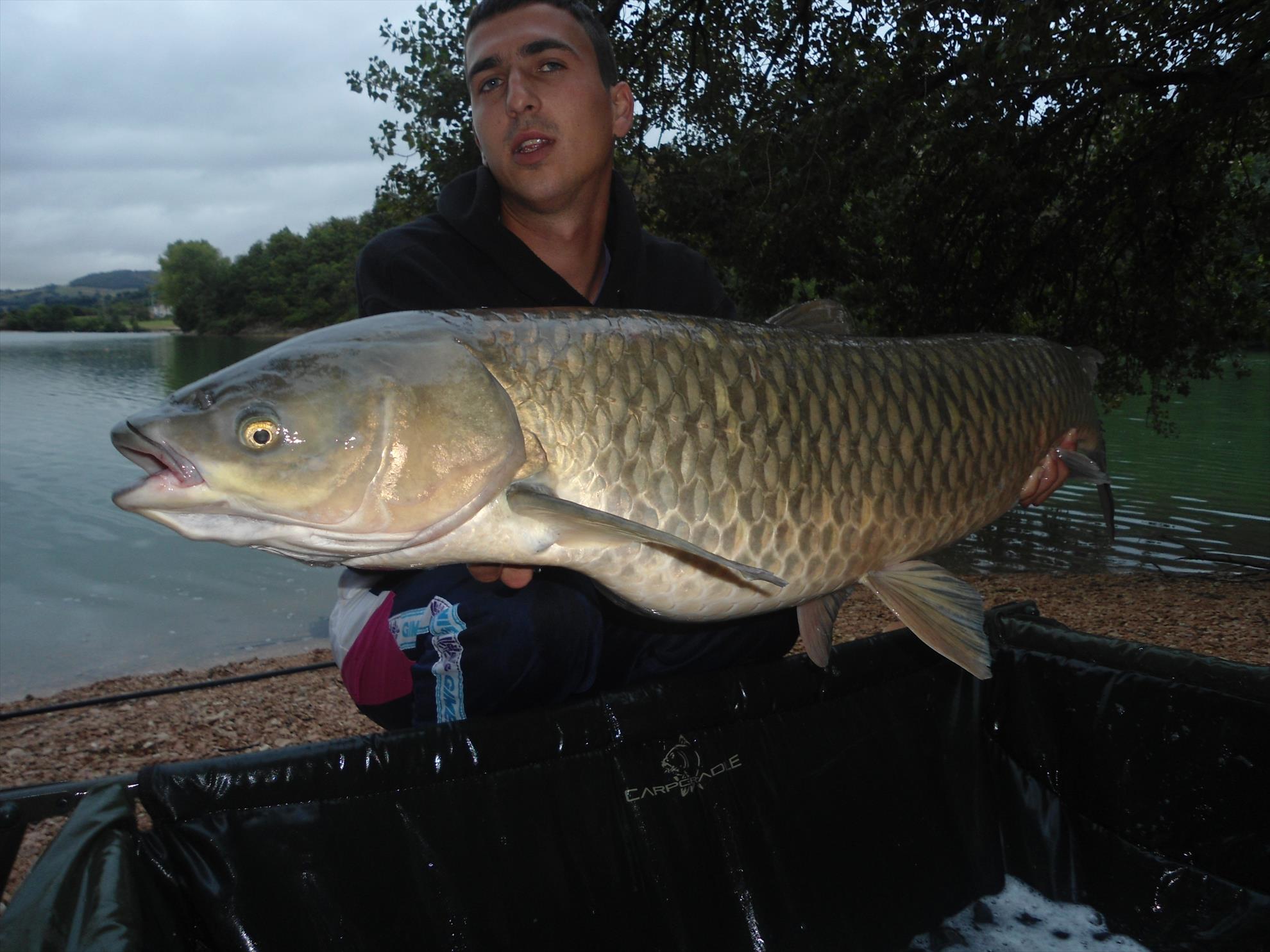 Ape libere cu Any Water - dsc04705.JPG